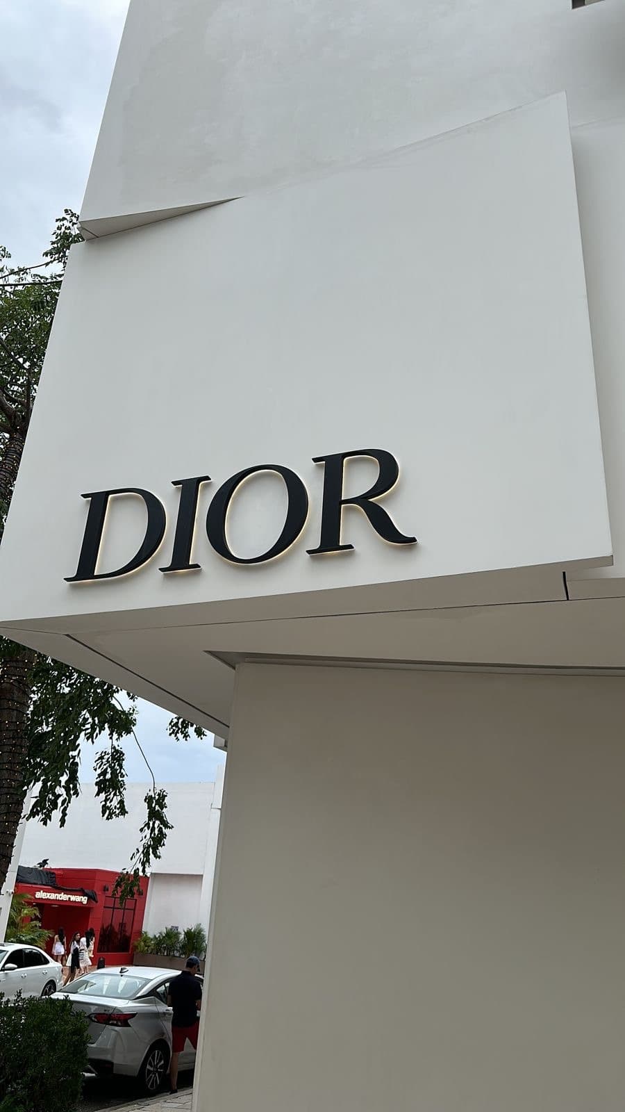 Pilar Delgado banner image