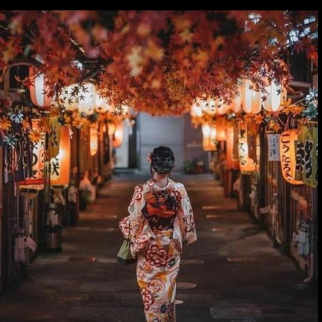🌈Geisha👘 banner image