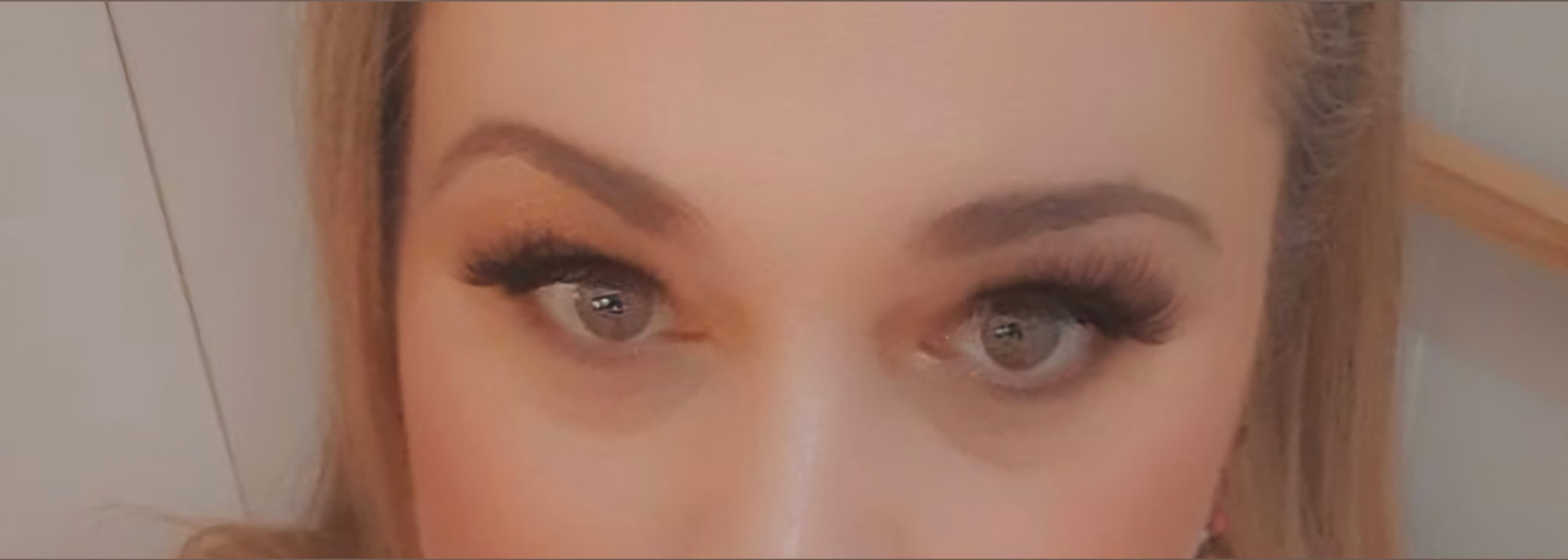 Nortycougar banner image
