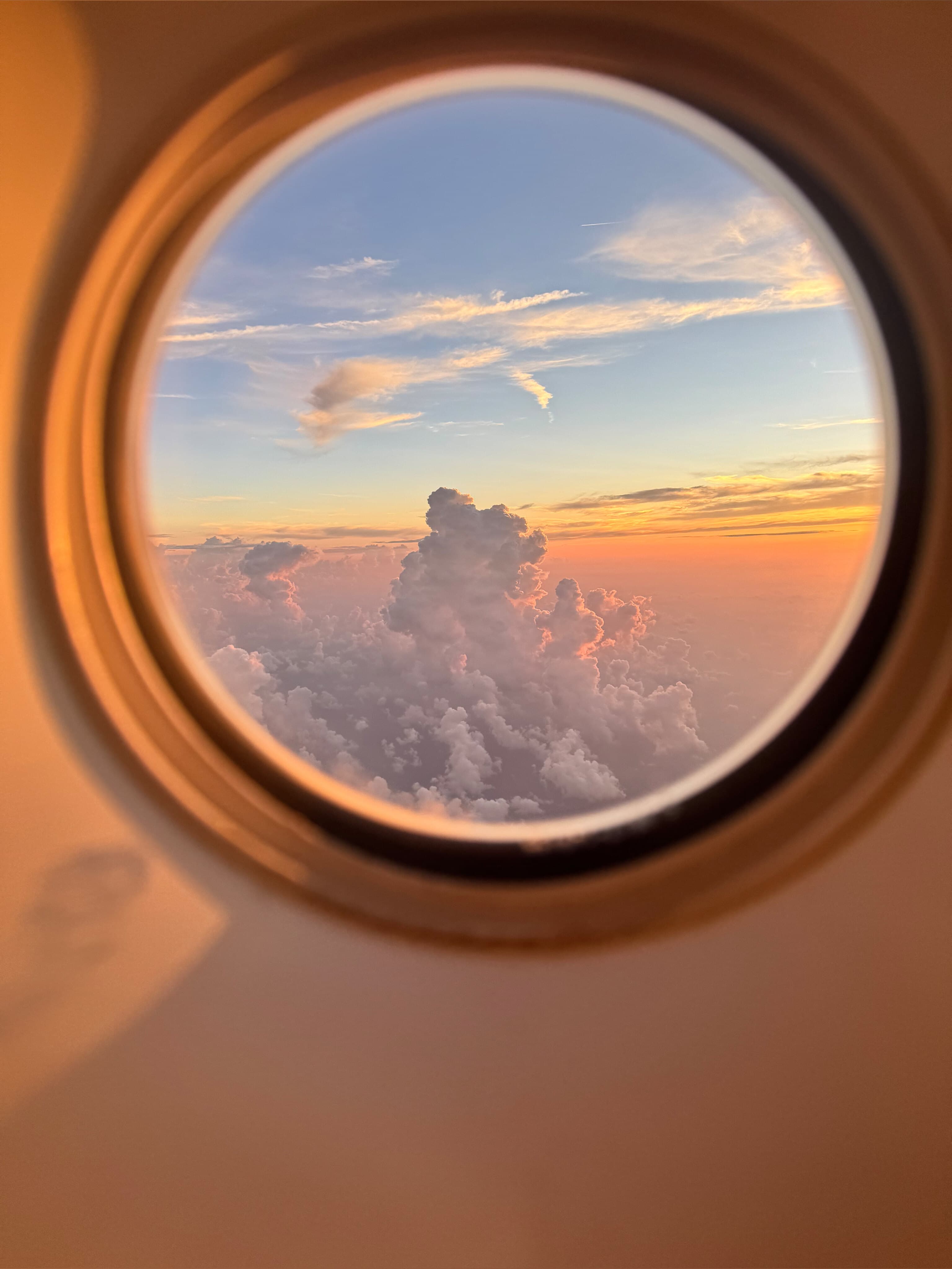 Your Favorite Layover banner image