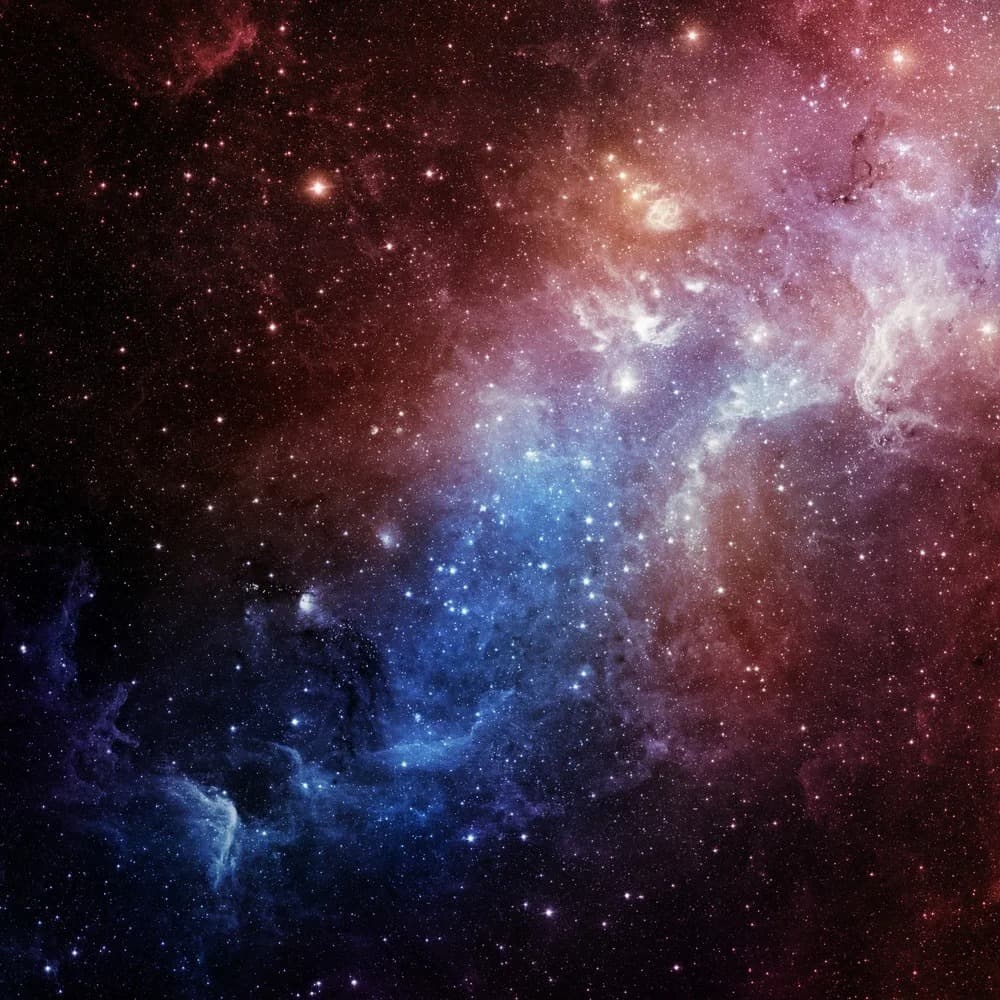 Alex Foster banner image