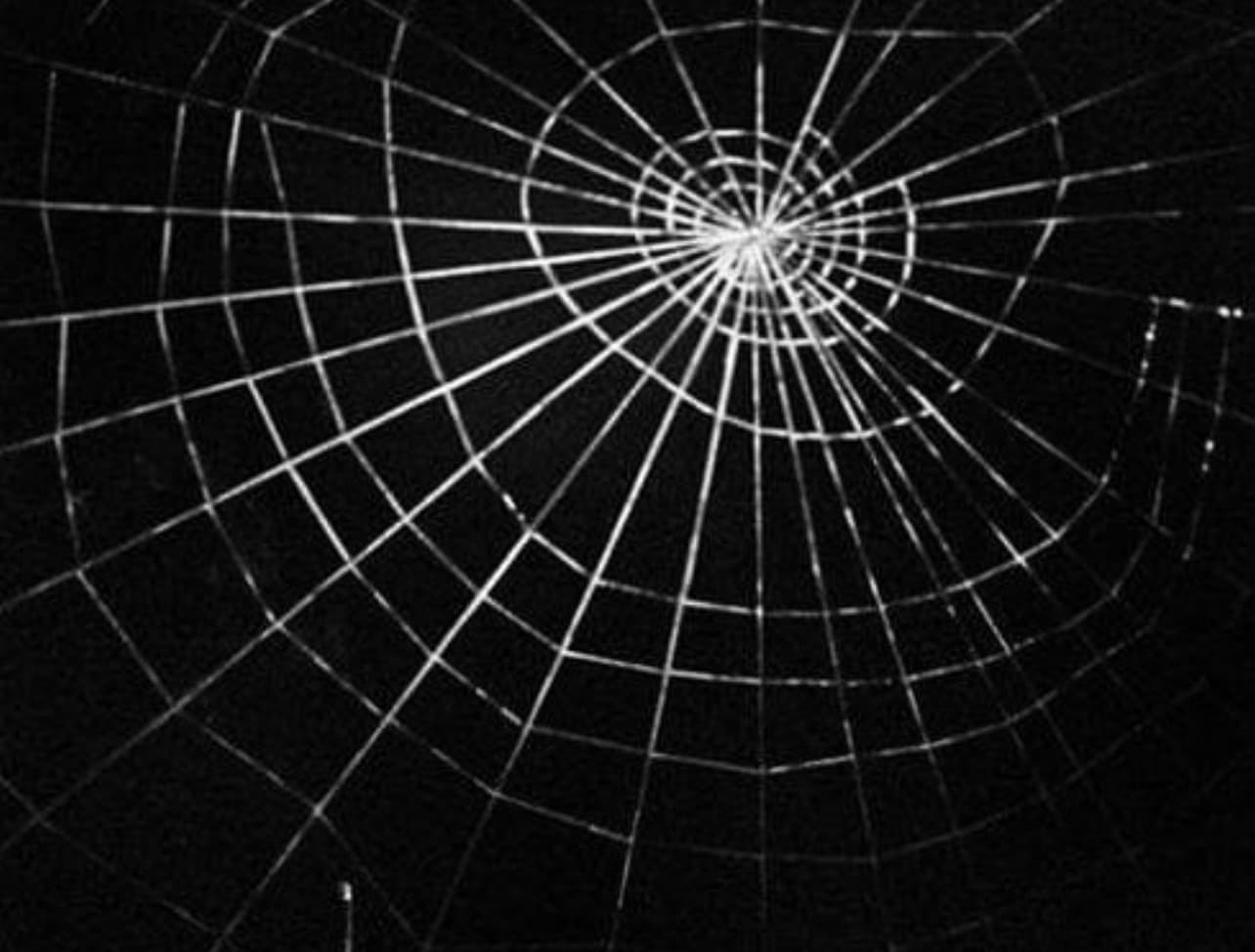MizzBettie banner image