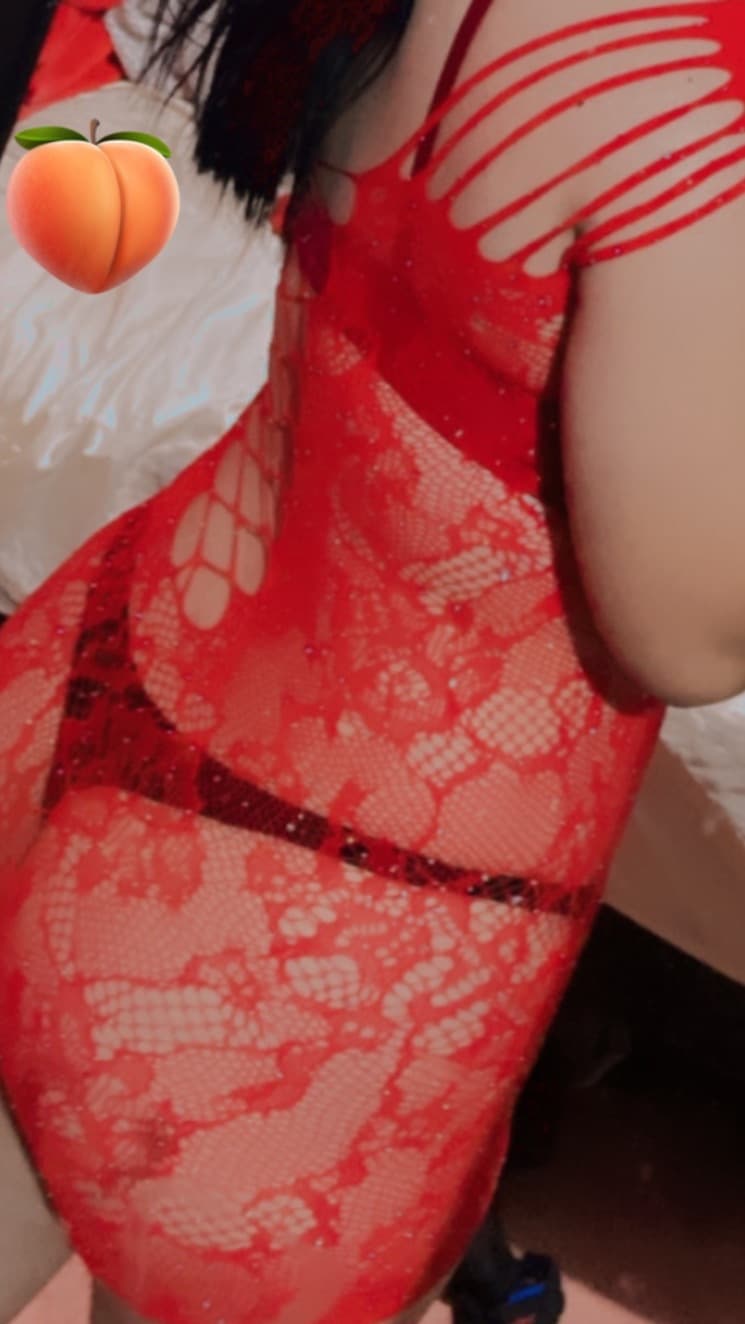 Gatita banner image