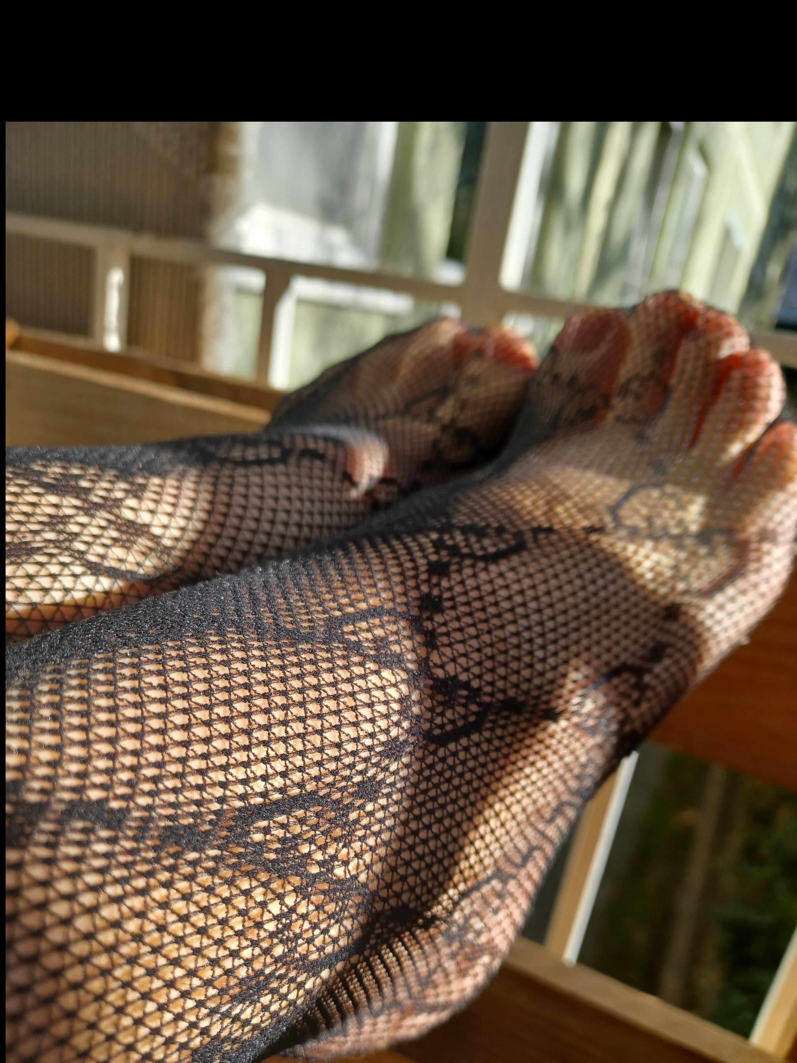 feet_blondie banner image