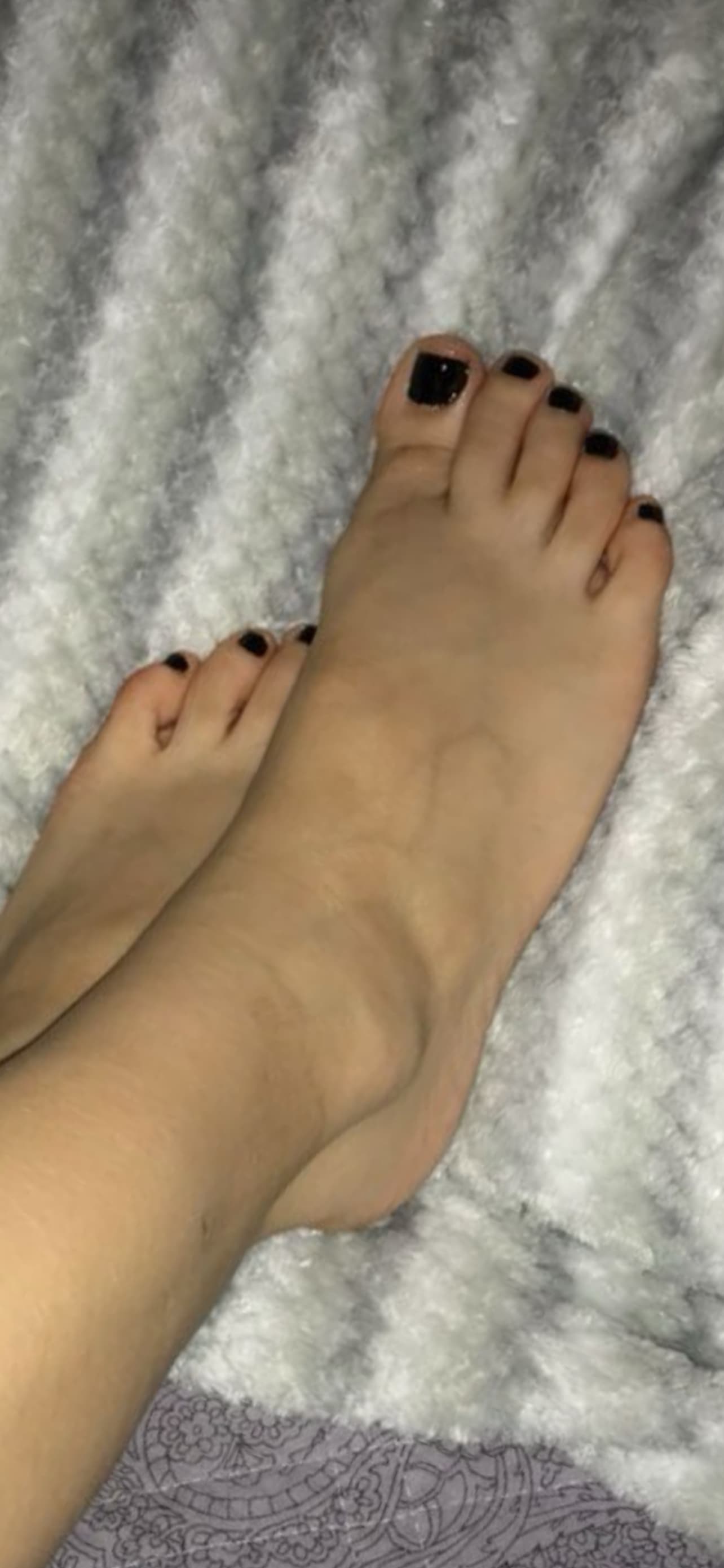 Daddyskitten banner image