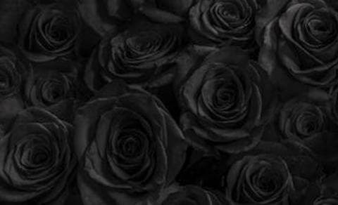 LovetsWOW banner image