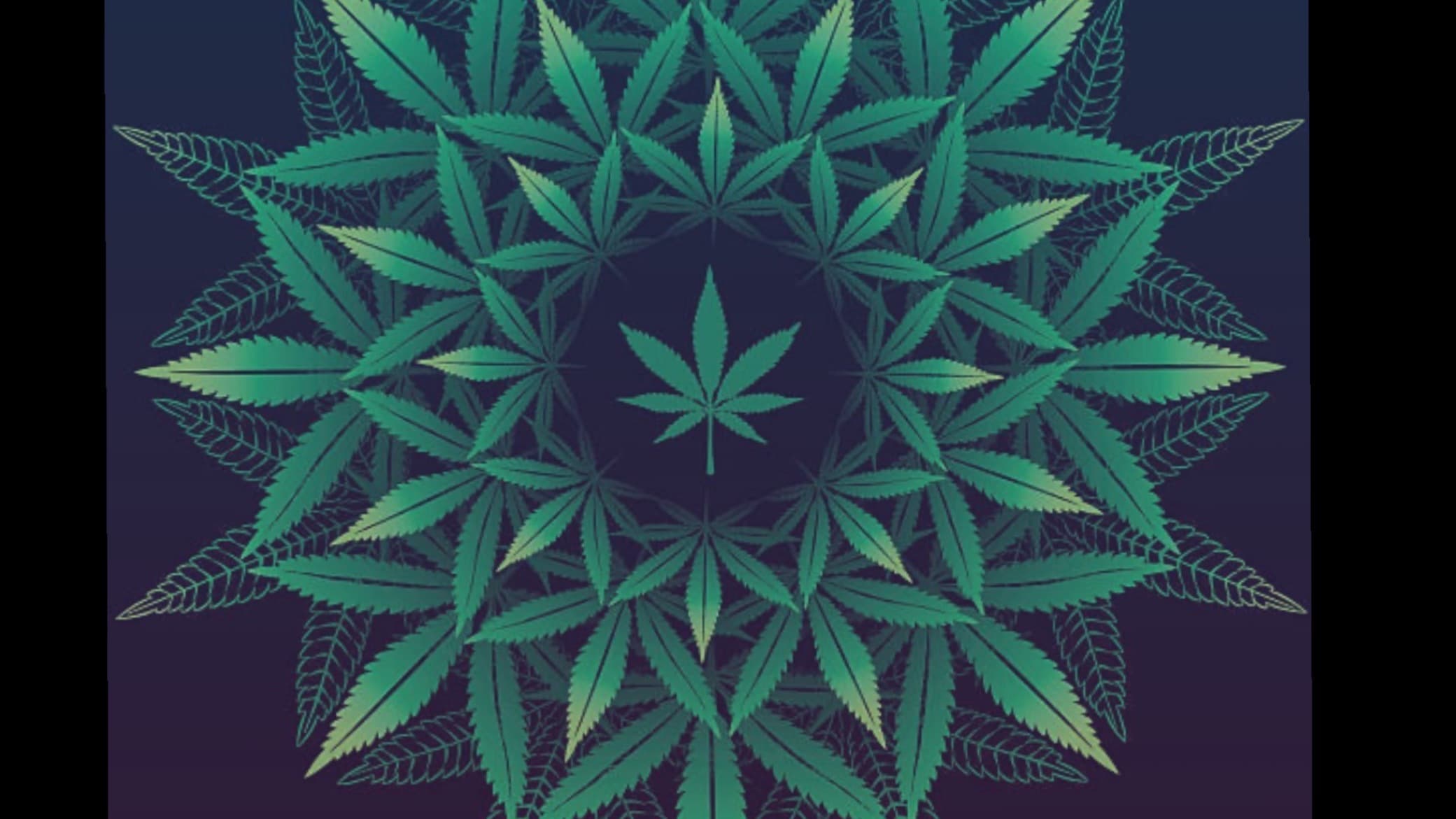 BootieNblazed π π banner image
