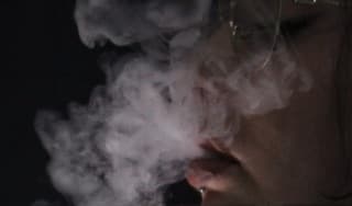H.traicionera banner image