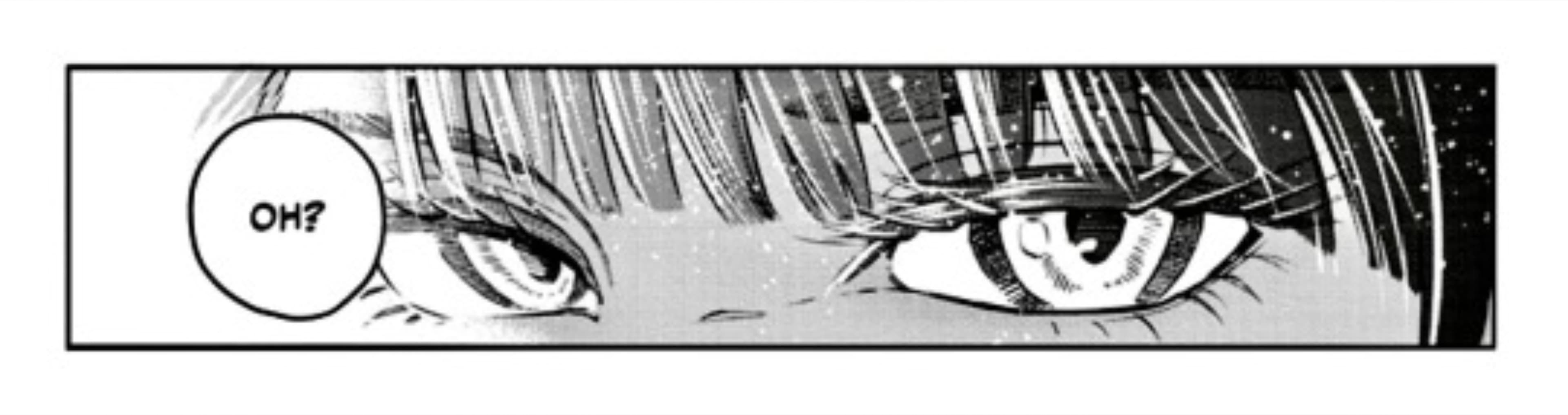 Midnight Princess banner image