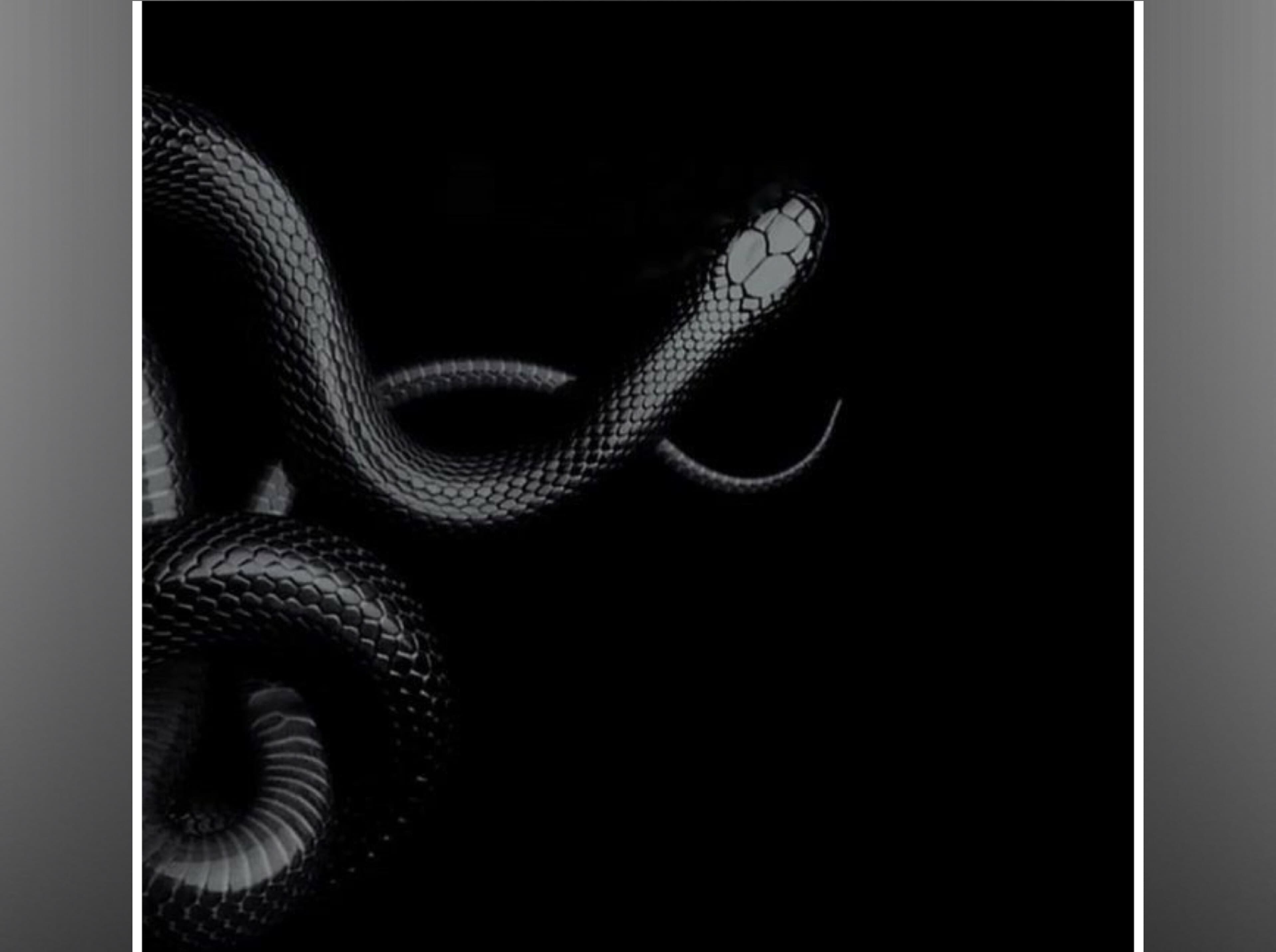 Aseneth banner image