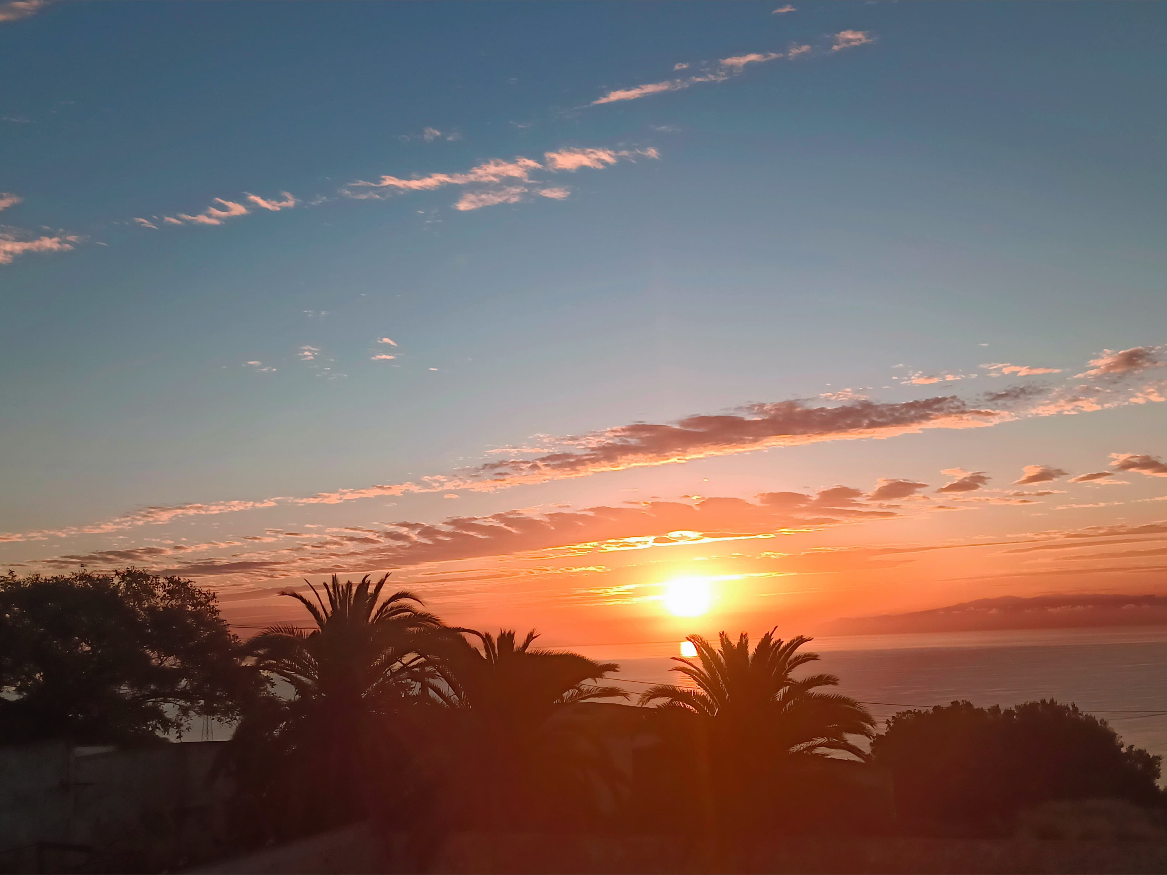 DominicX banner image