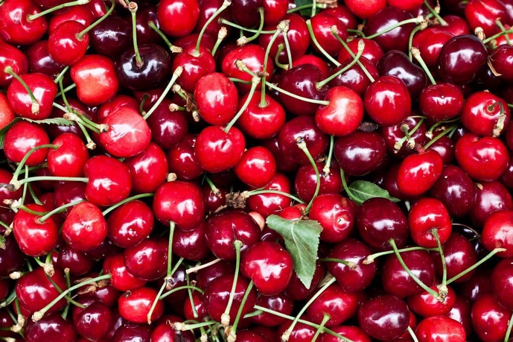 Cherry banner image