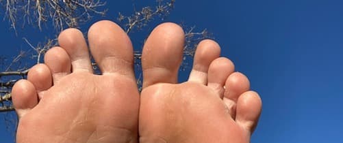 Giantess Erika banner image