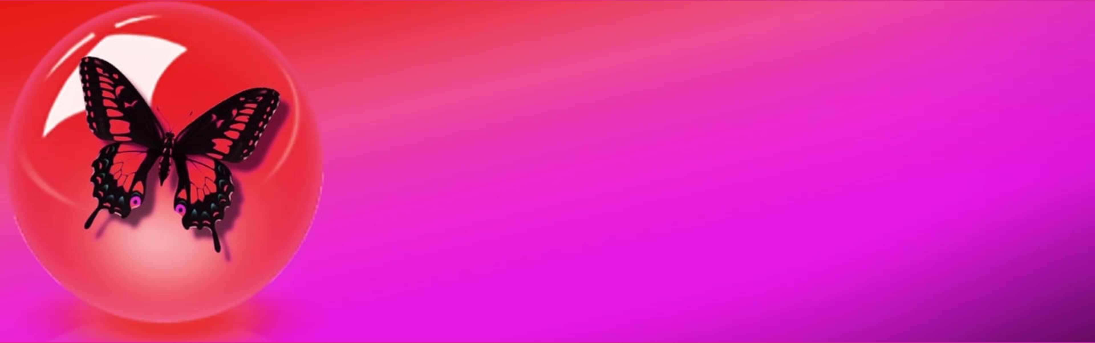 Lyla Lear banner image