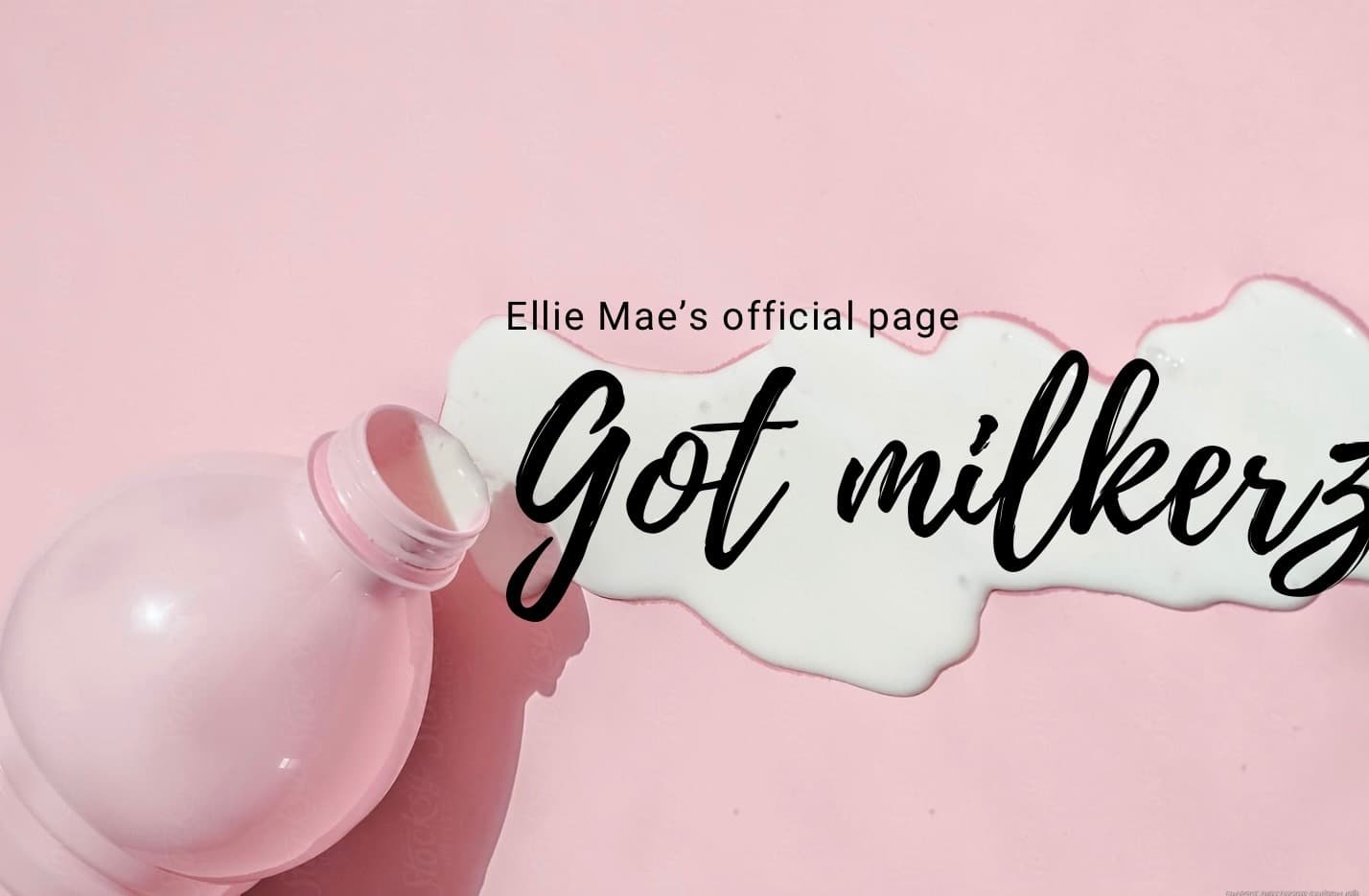 Ellie Mae banner image