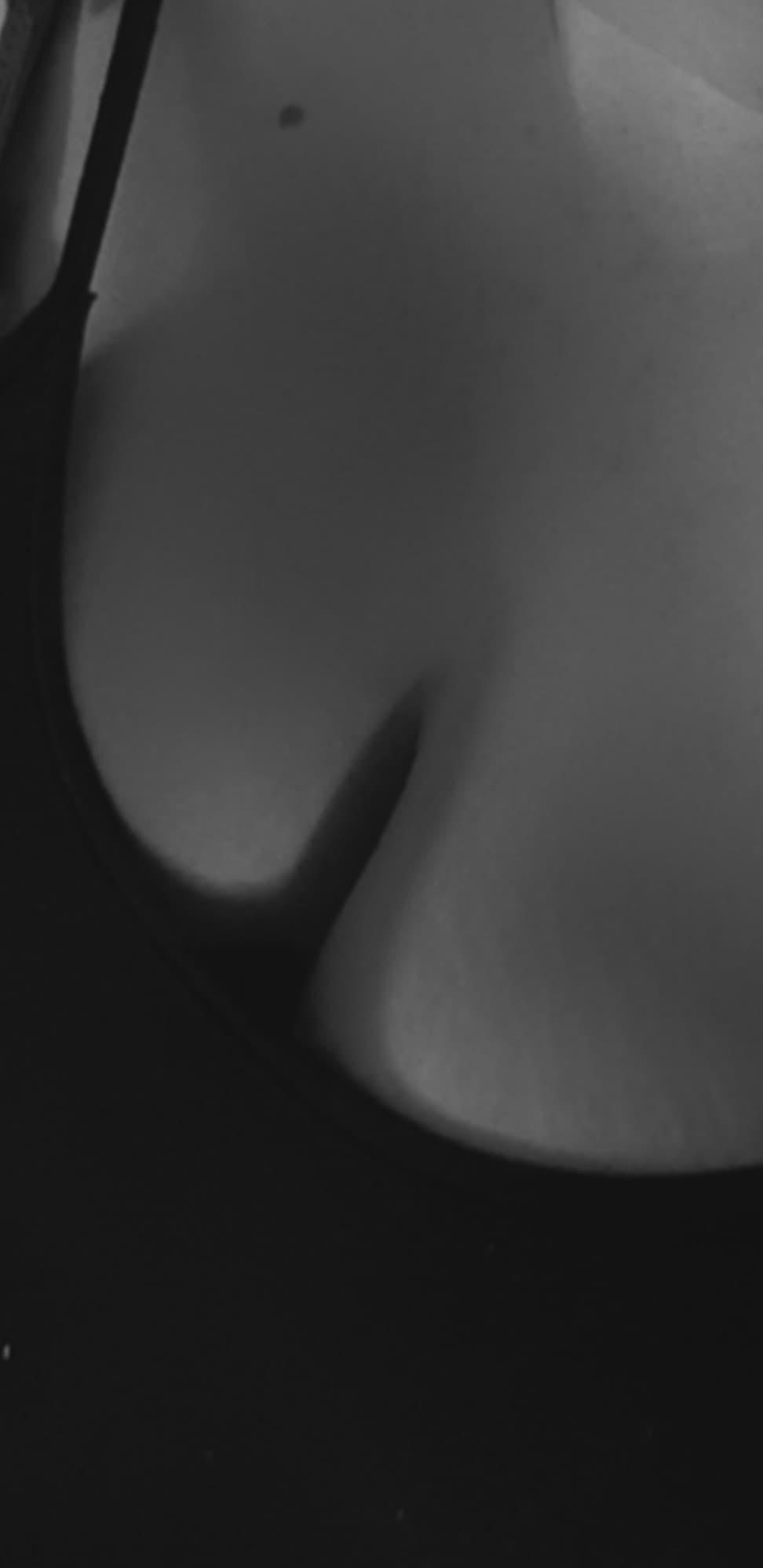 Stephie banner image