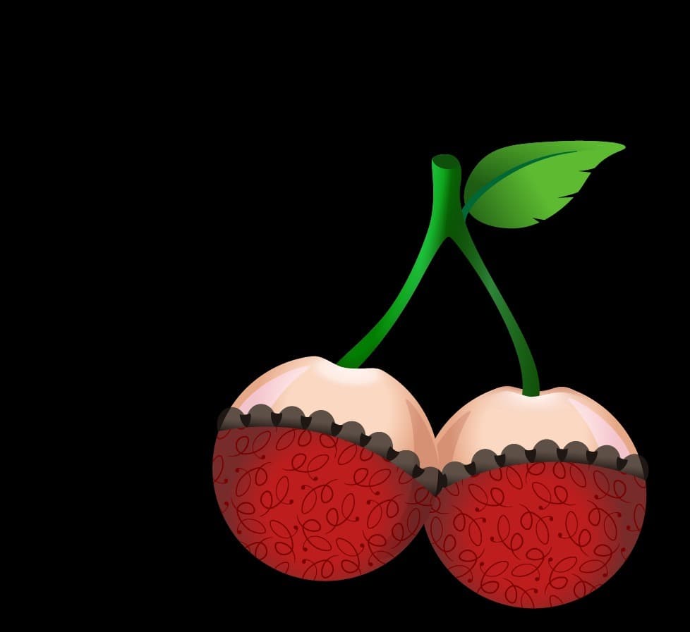 Layla Fox banner image