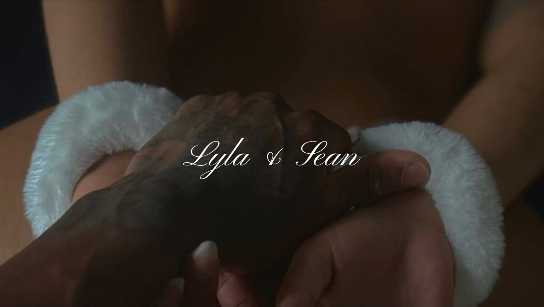 Lylaansean banner image