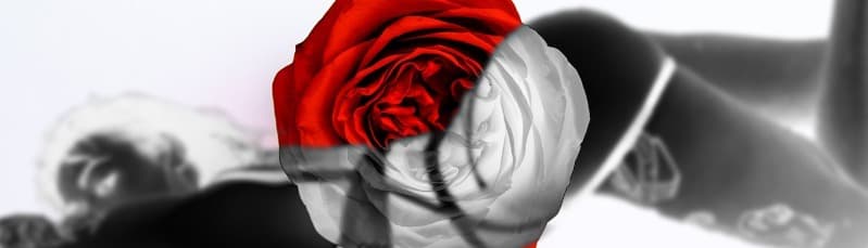 Lola Rose banner image