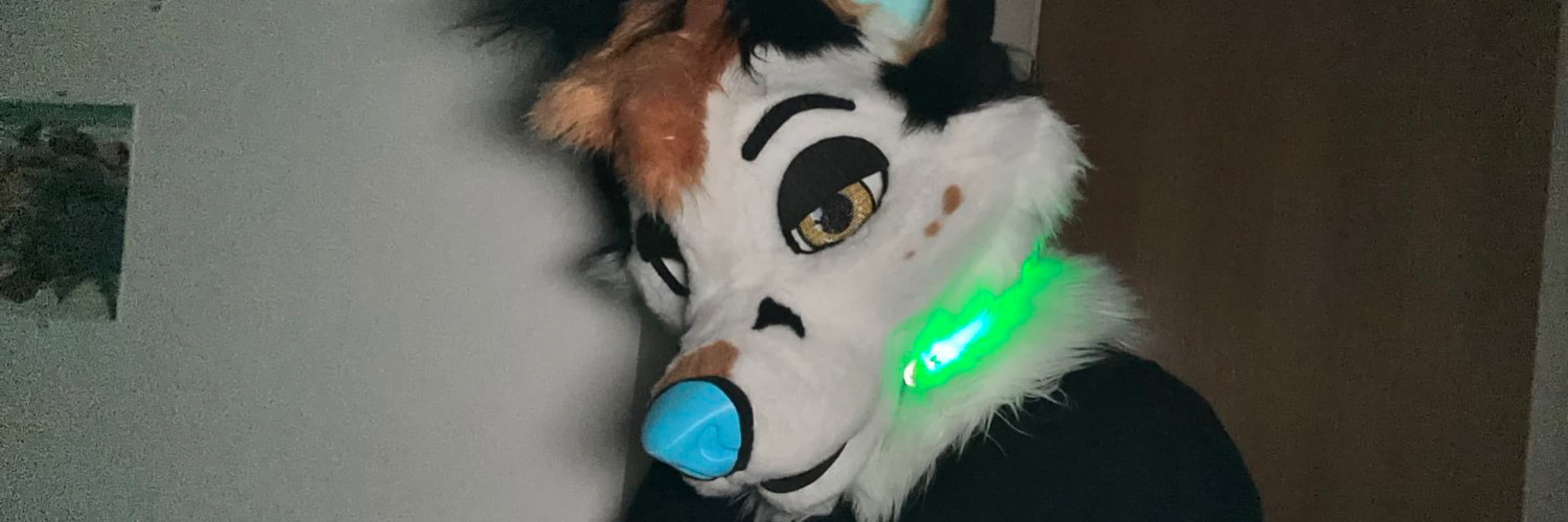 XeroFoxAD banner image