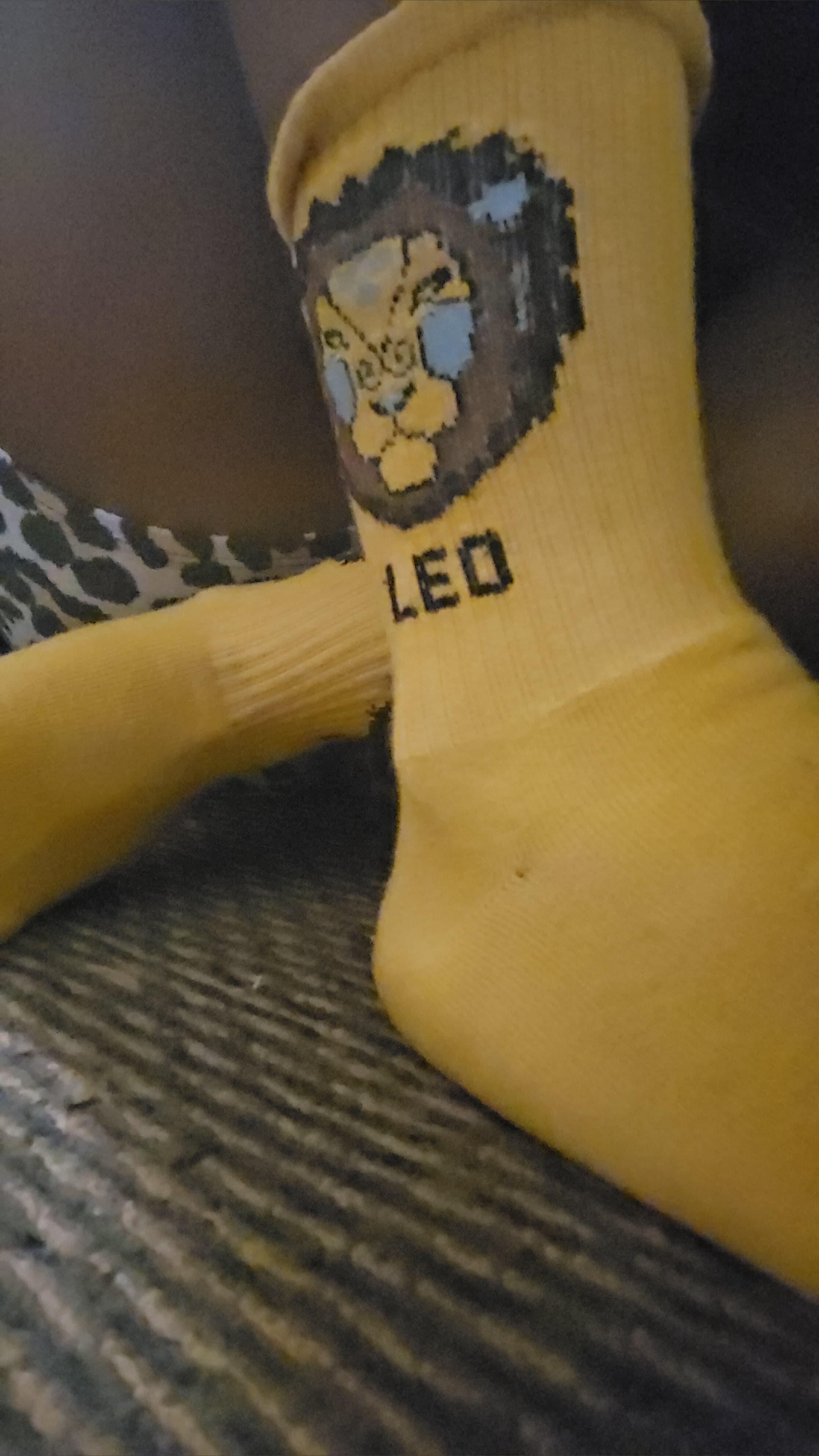 MISSFOOTLUV banner image