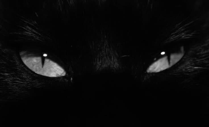 valentina. banner image