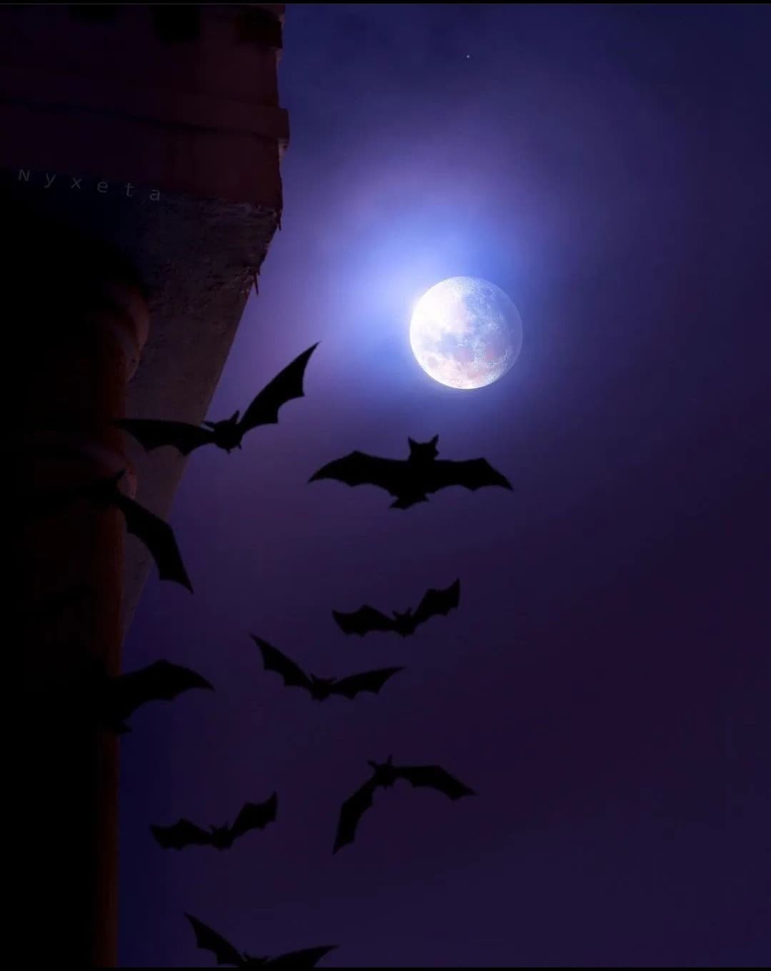 🦇💜Stephanie💜🦇 banner image