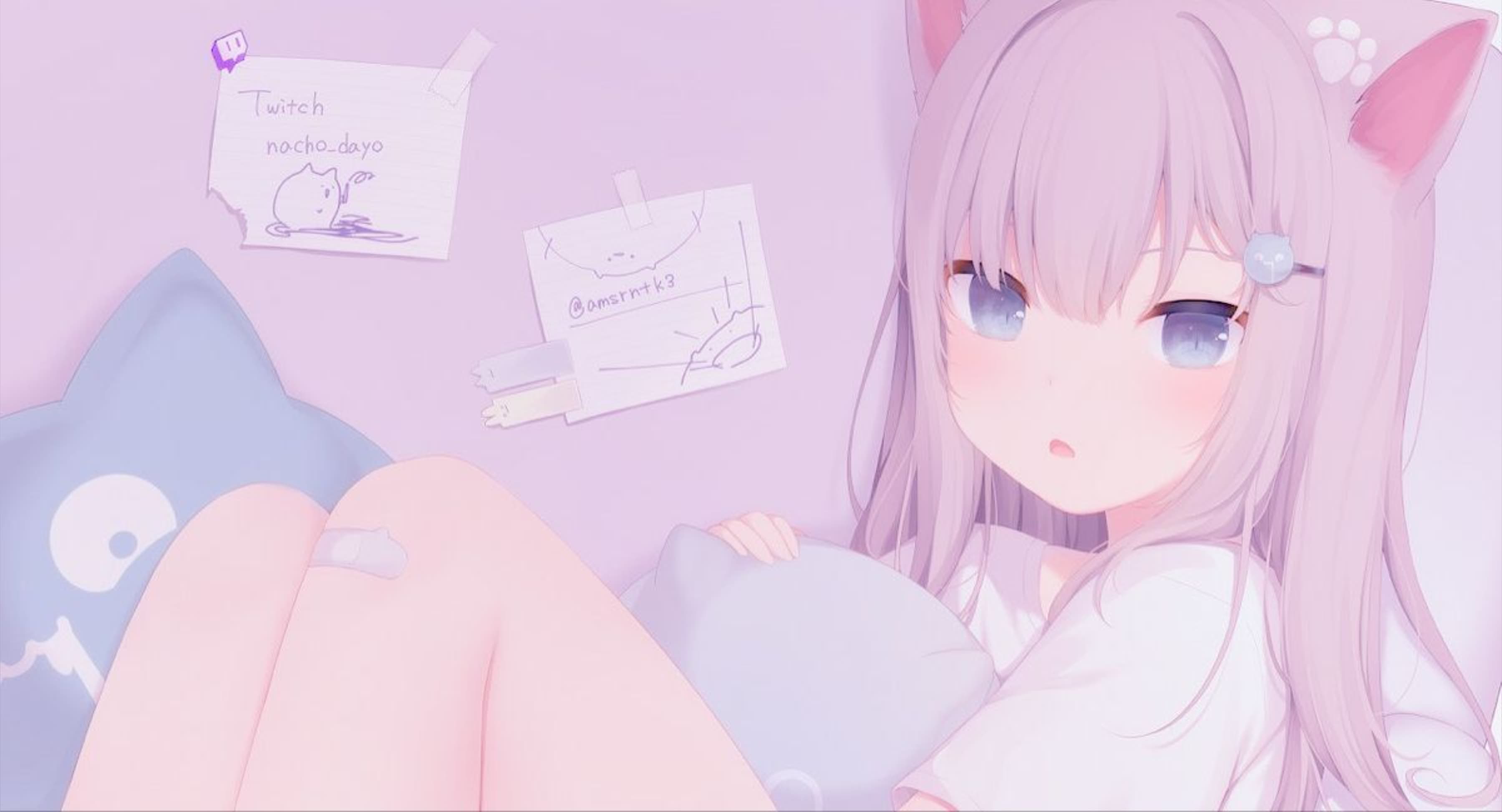 kitti🎀 banner image