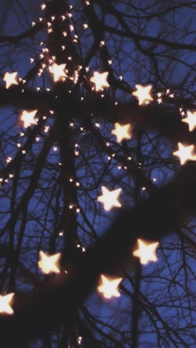 Lou banner image