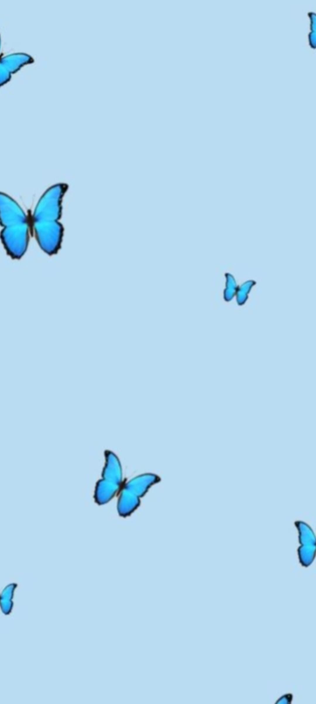 Dani Jiménez banner image