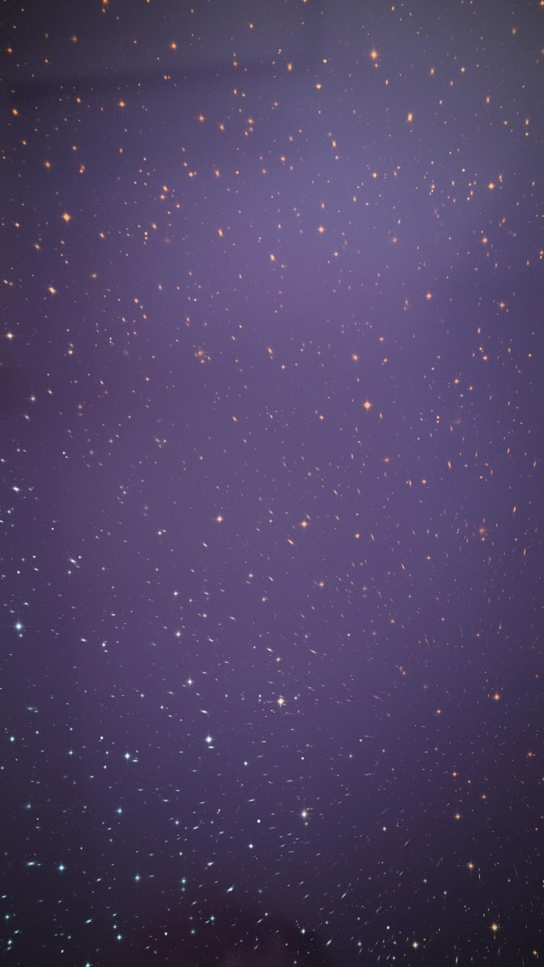 Wilder Thing banner image