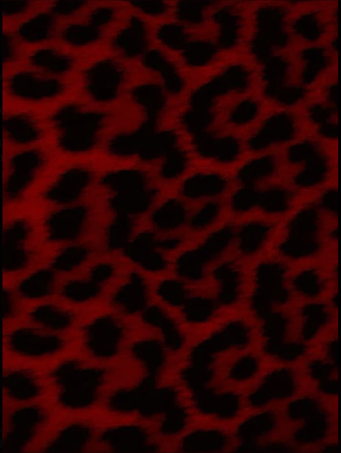 TheGraysX banner image