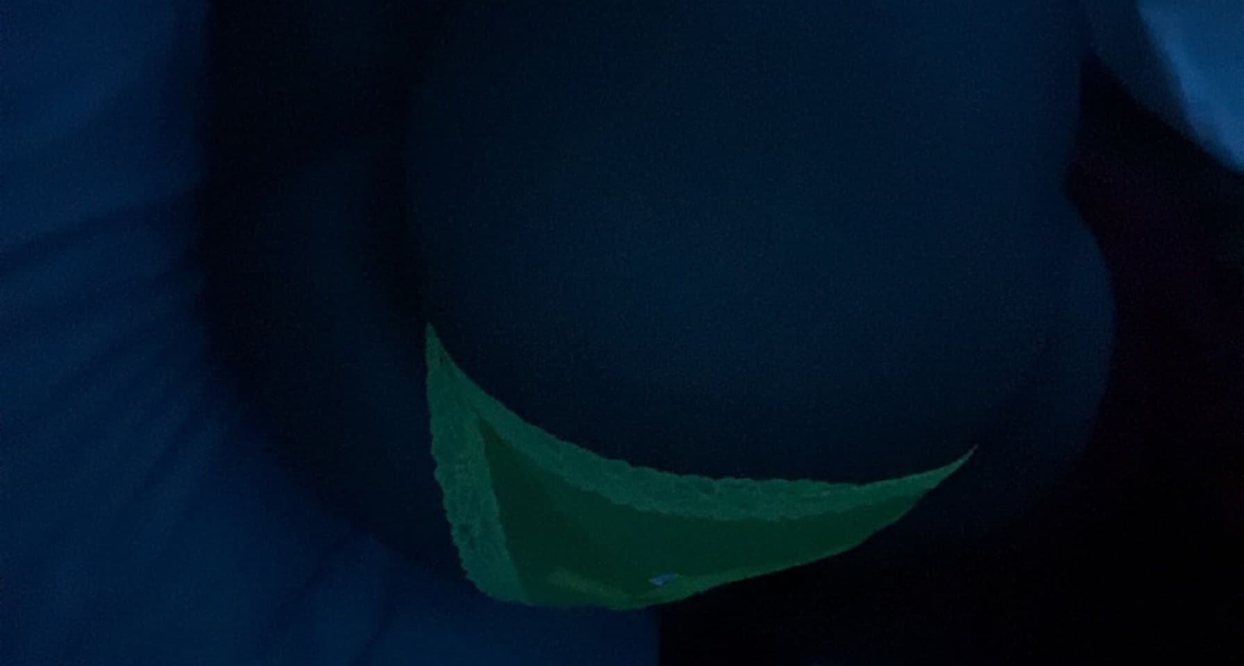 Malanilynn banner image