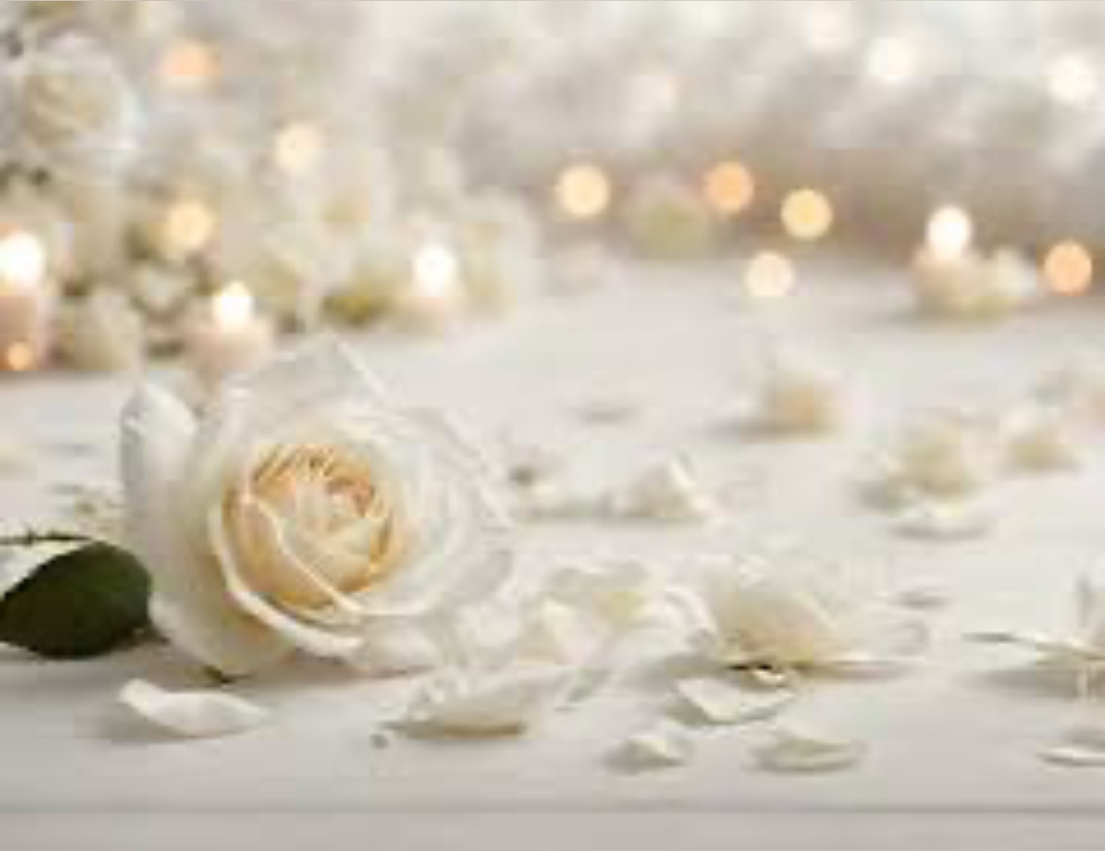 Audrey banner image