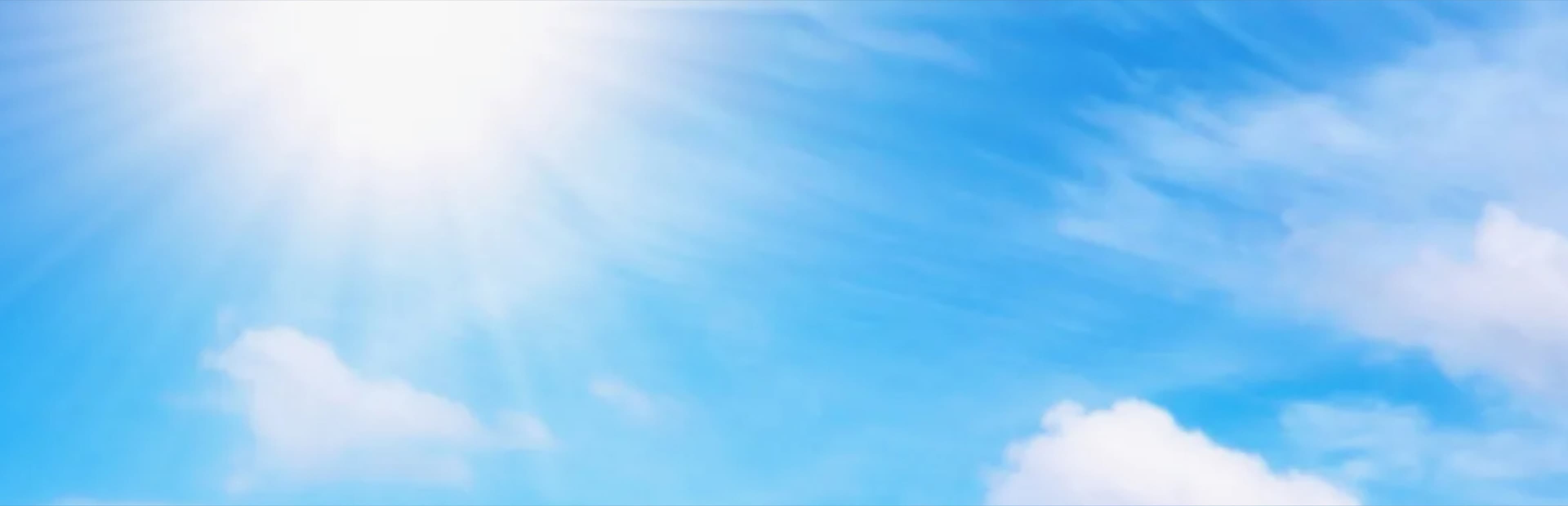 Alenka banner image