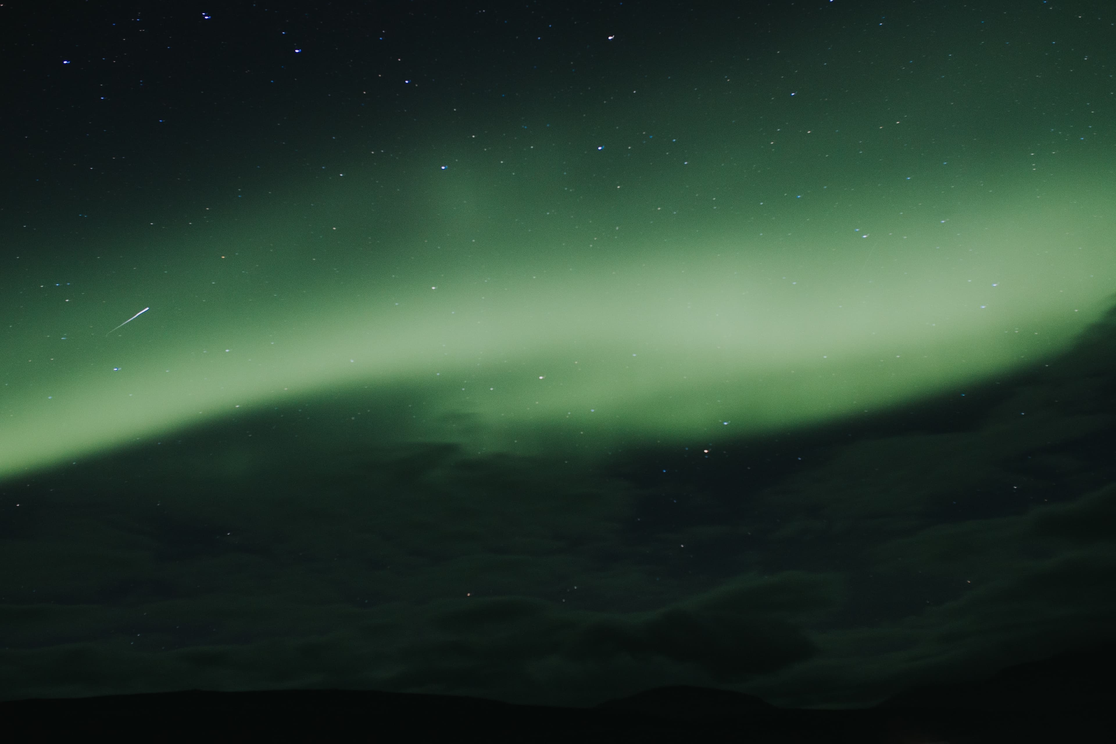 neon banner image