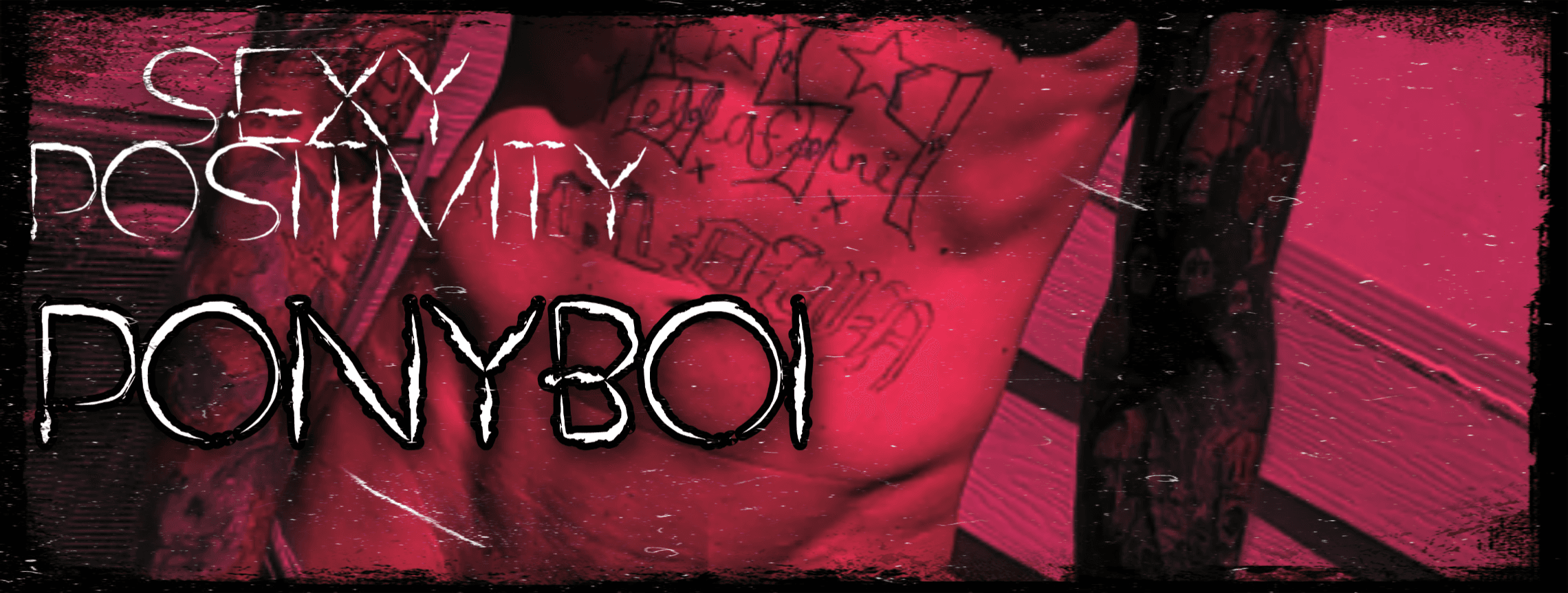 Ponyboi banner image
