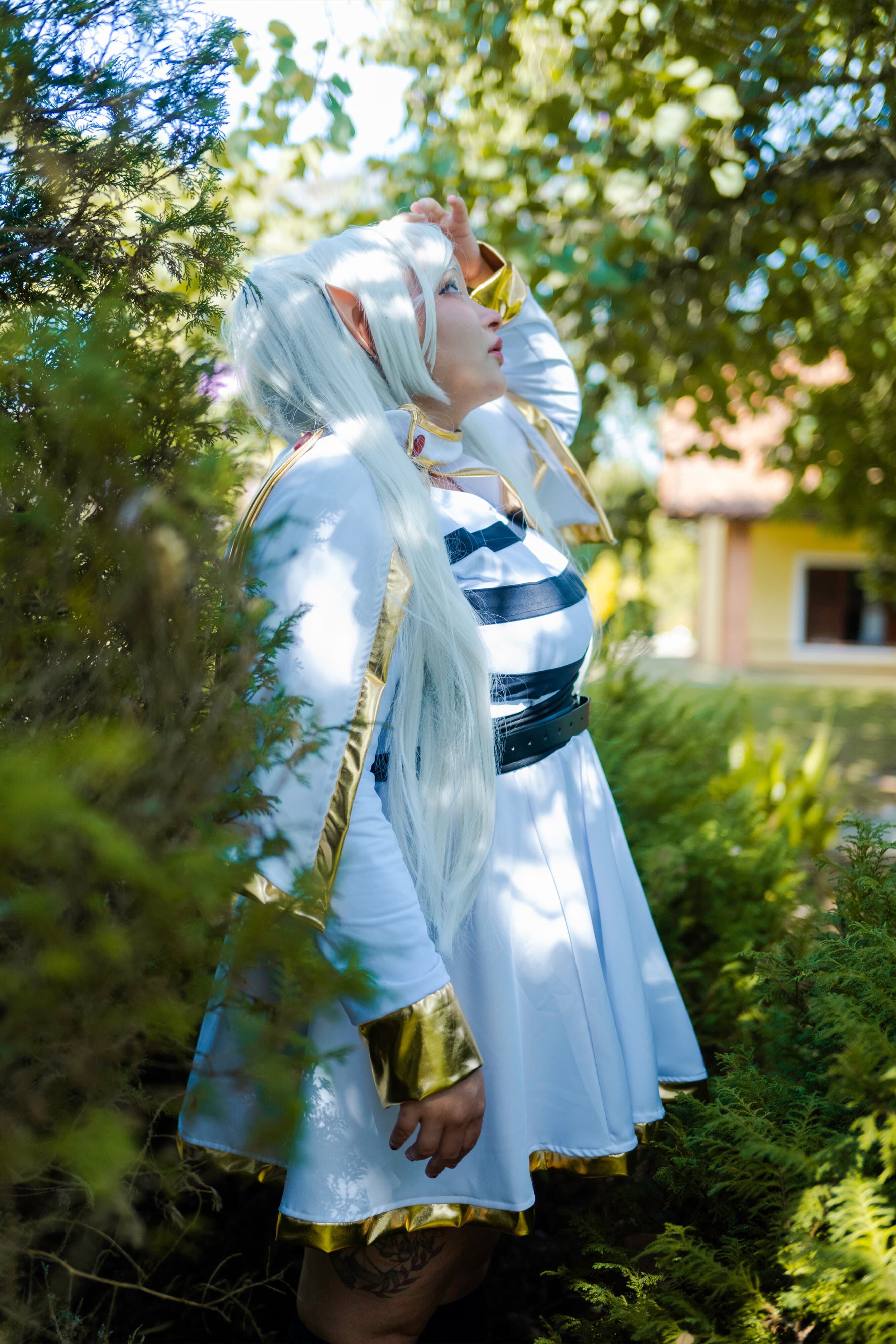 Ayumi banner image