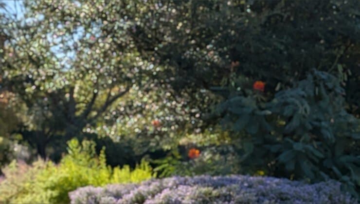 Mal Malloy banner image