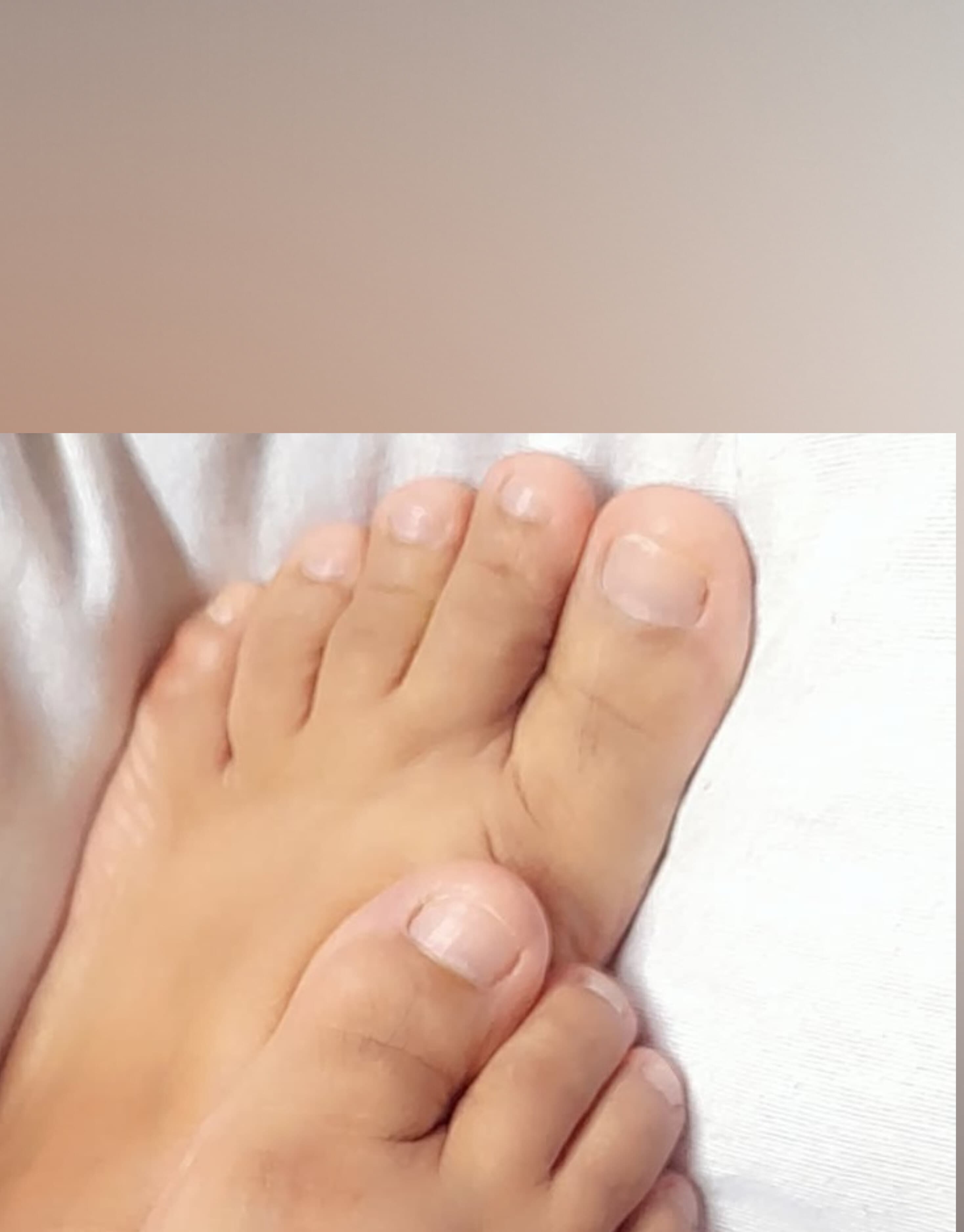 Lila banner image