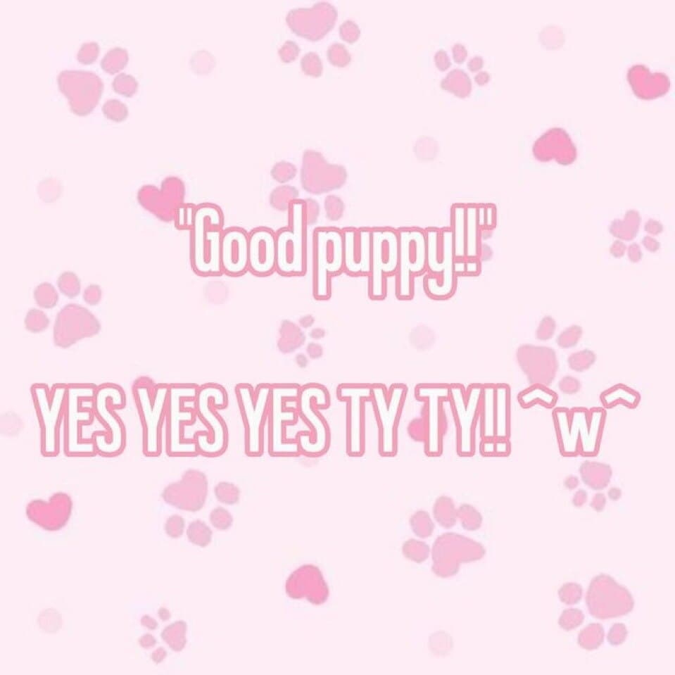 Ur fave puppygirl<3 banner image
