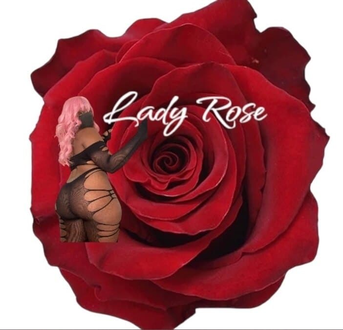 ๐น Lady Black Rose ๐น banner image