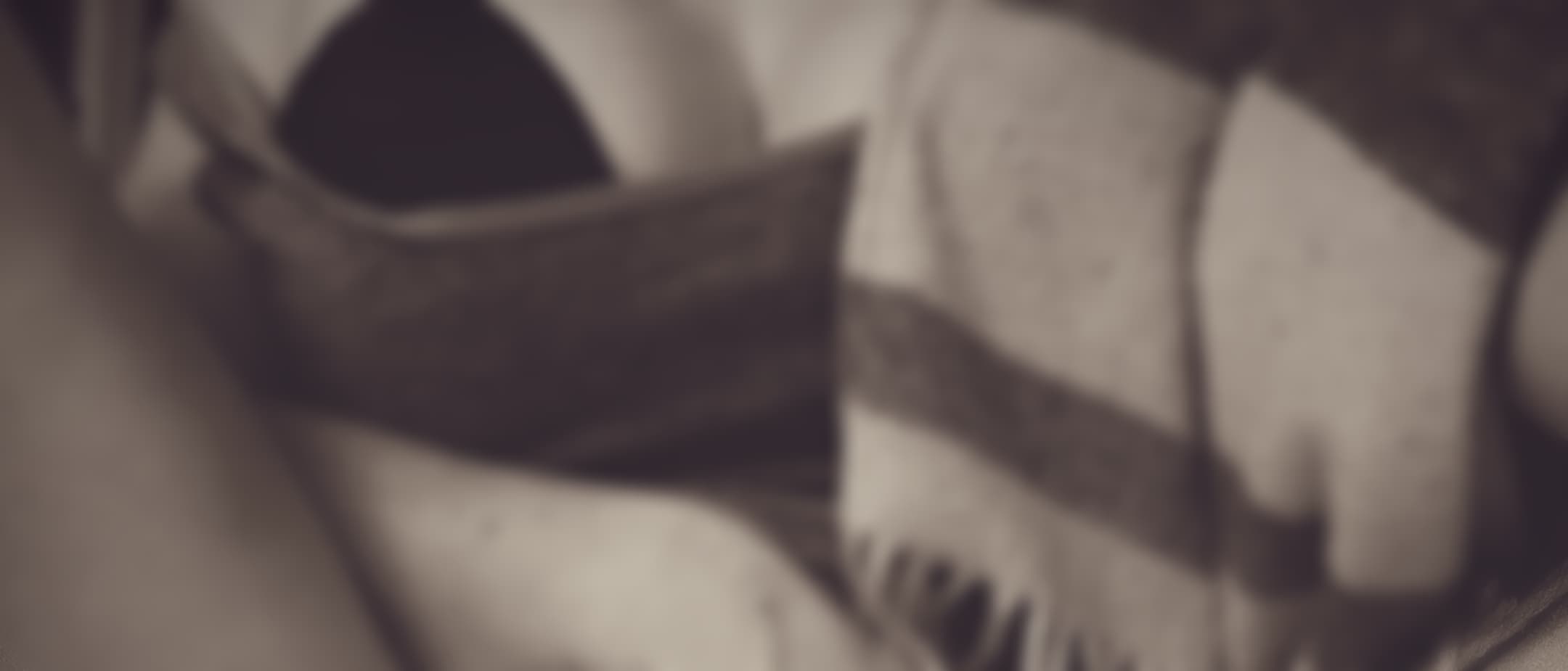Lily Norwood banner image