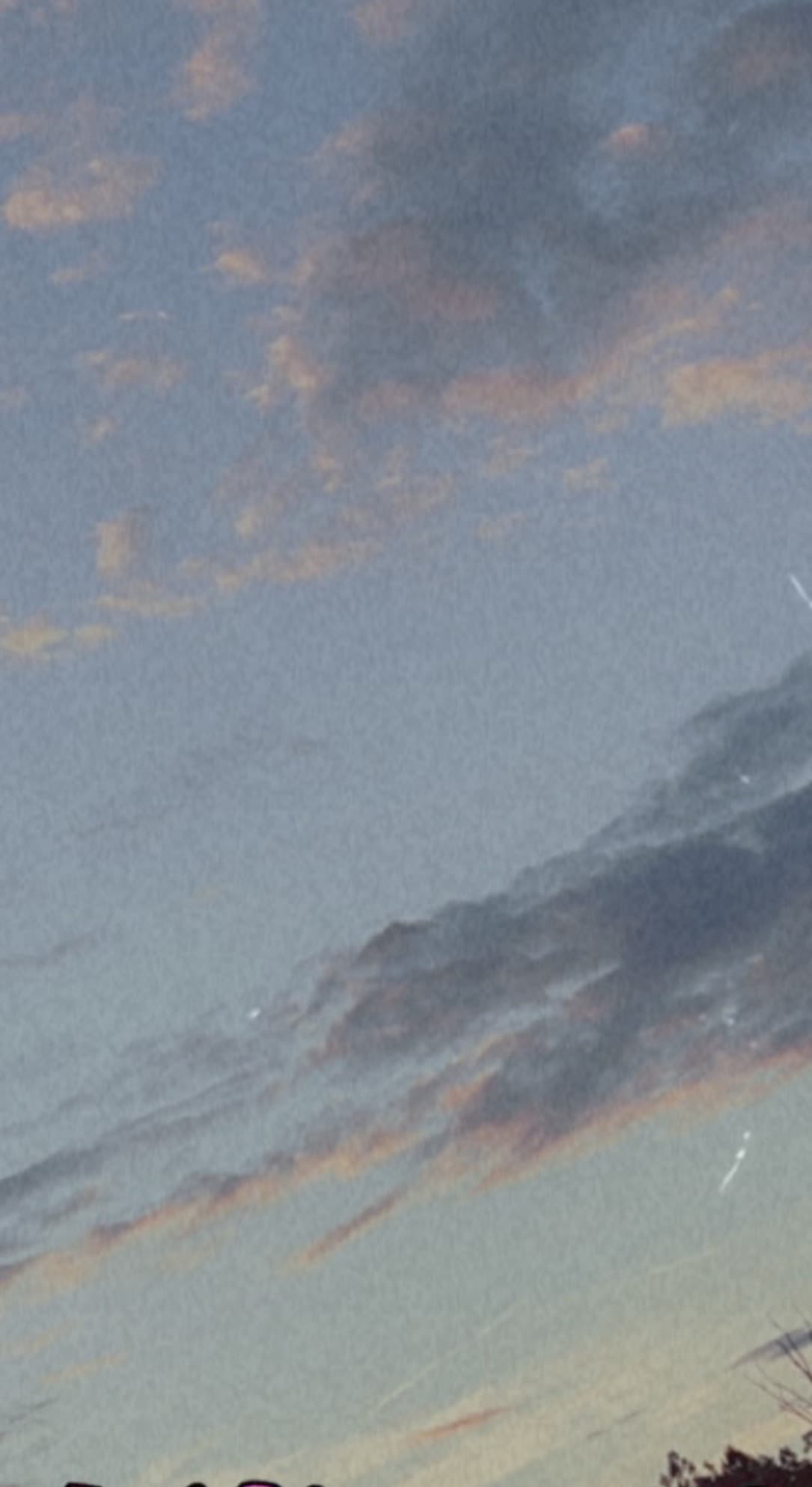 Dosecurvestho banner image