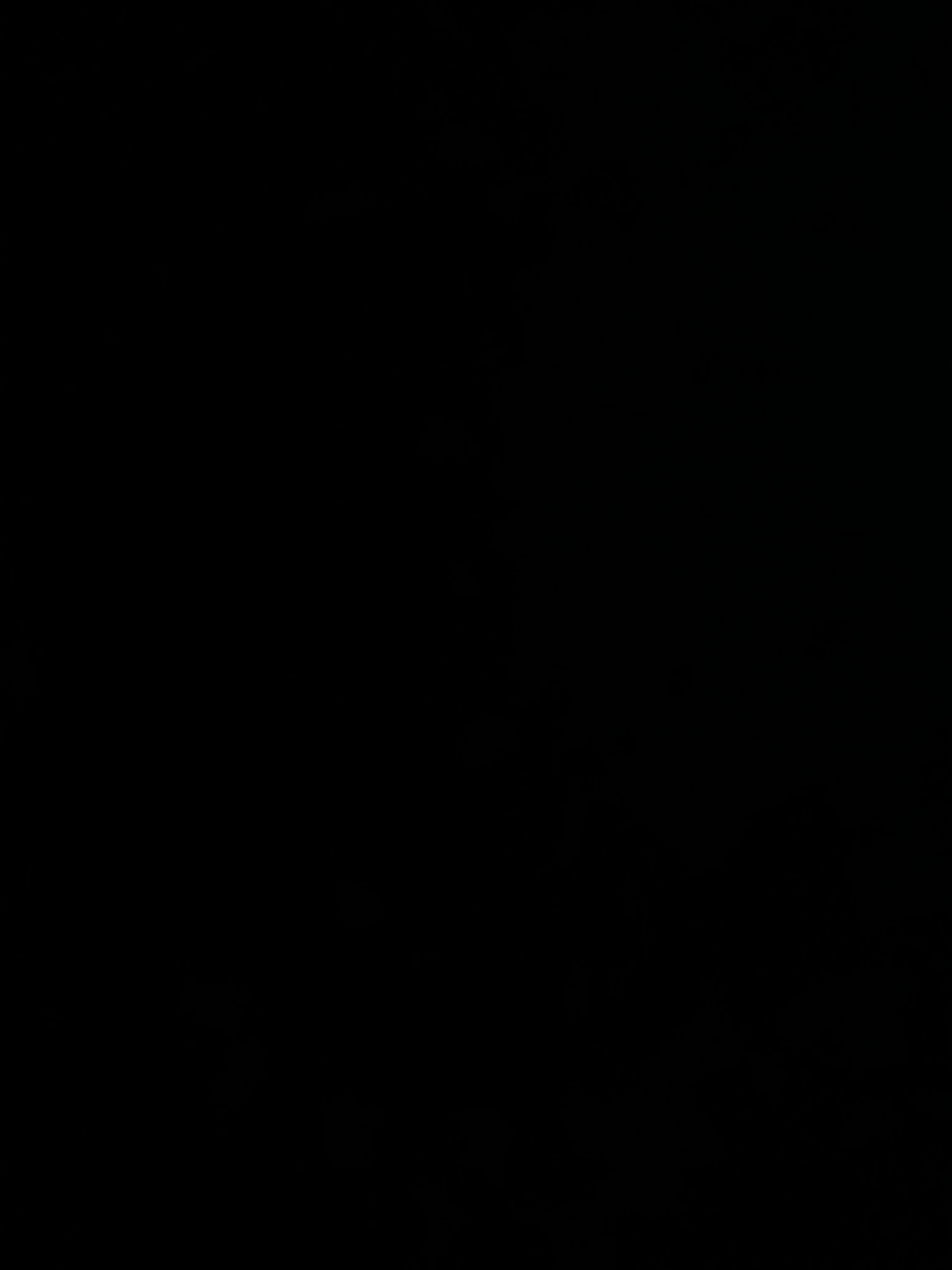 Candice Amber banner image
