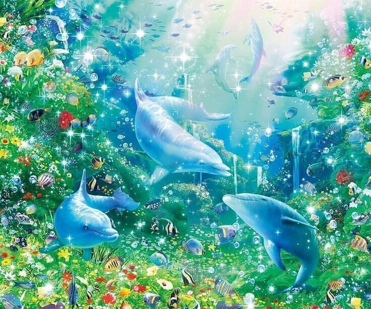 Sonni Sky banner image