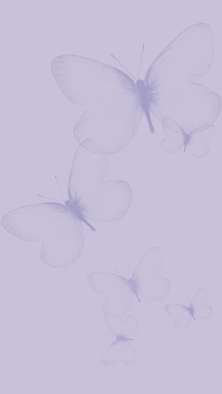 Eva Brito banner image