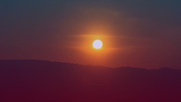 Sean Bird banner image