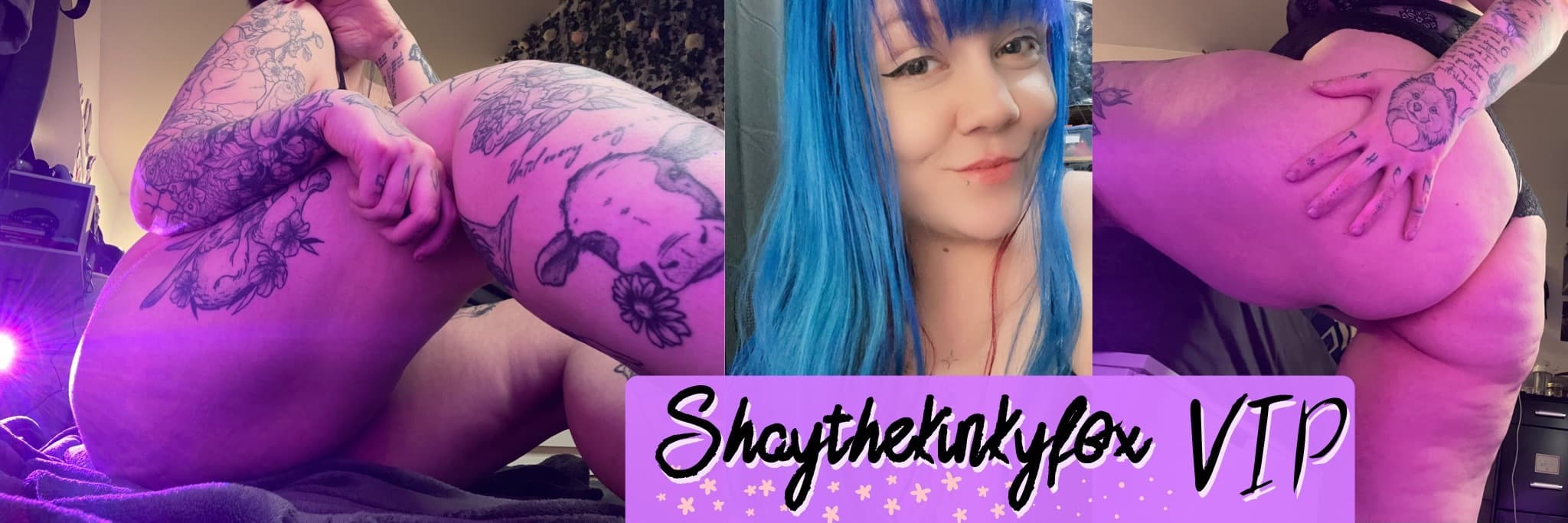 Shay the Kinky Fox banner image