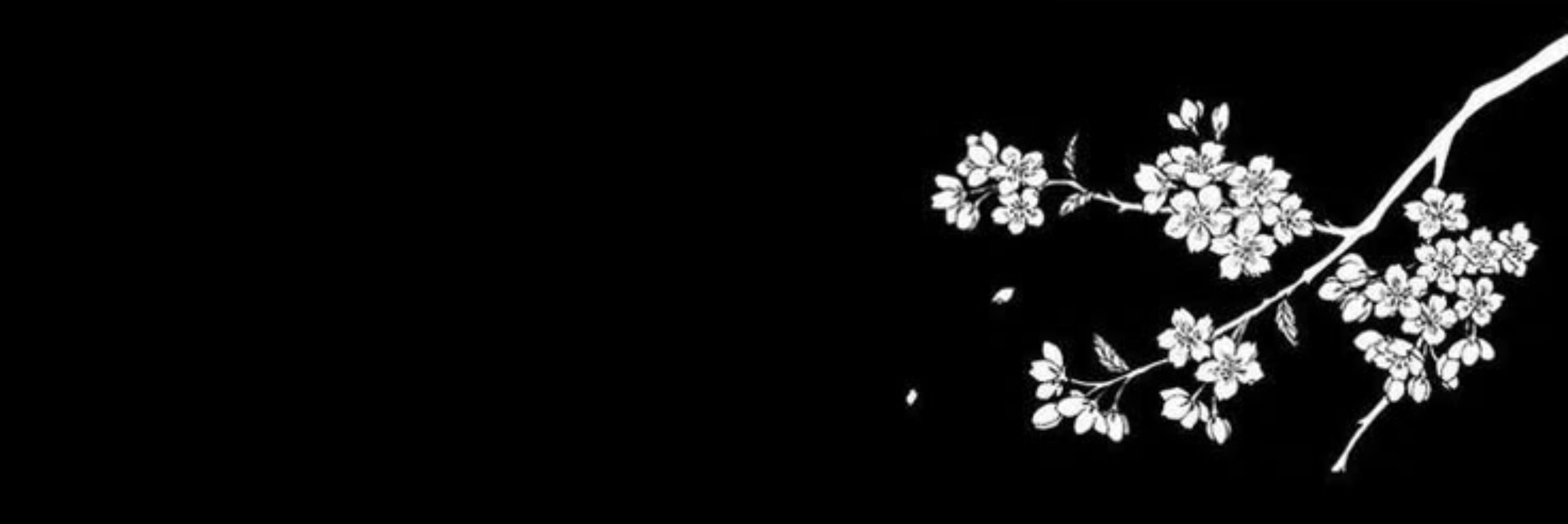 liam banner image